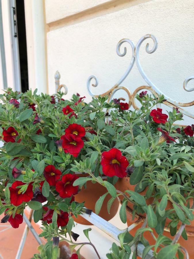 B & B Da Ferro Massarosa Bagian luar foto