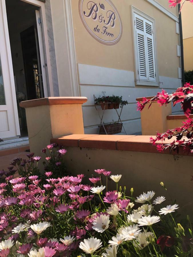 B & B Da Ferro Massarosa Bagian luar foto